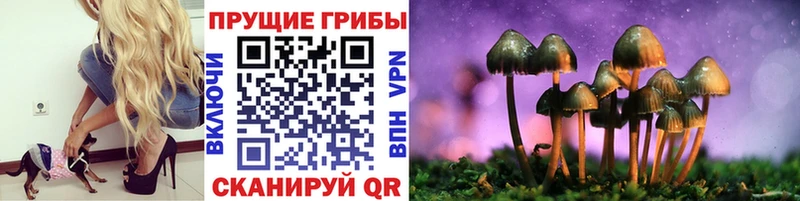 Псилоцибиновые грибы Psilocybine cubensis  Вуктыл 